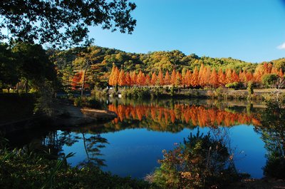 🏞️ 카가미야마 공원 (카가미야마 코엔) 이미지 2